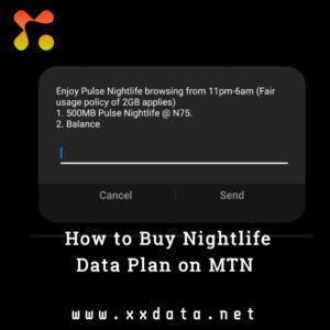 How to Buy Nightlife Data Plan on MTN img