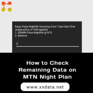 How to Check Remaining Data on MTN Night Plan img