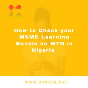 How to Check your MSME Learning Bundle on MTN in Nigeria  img