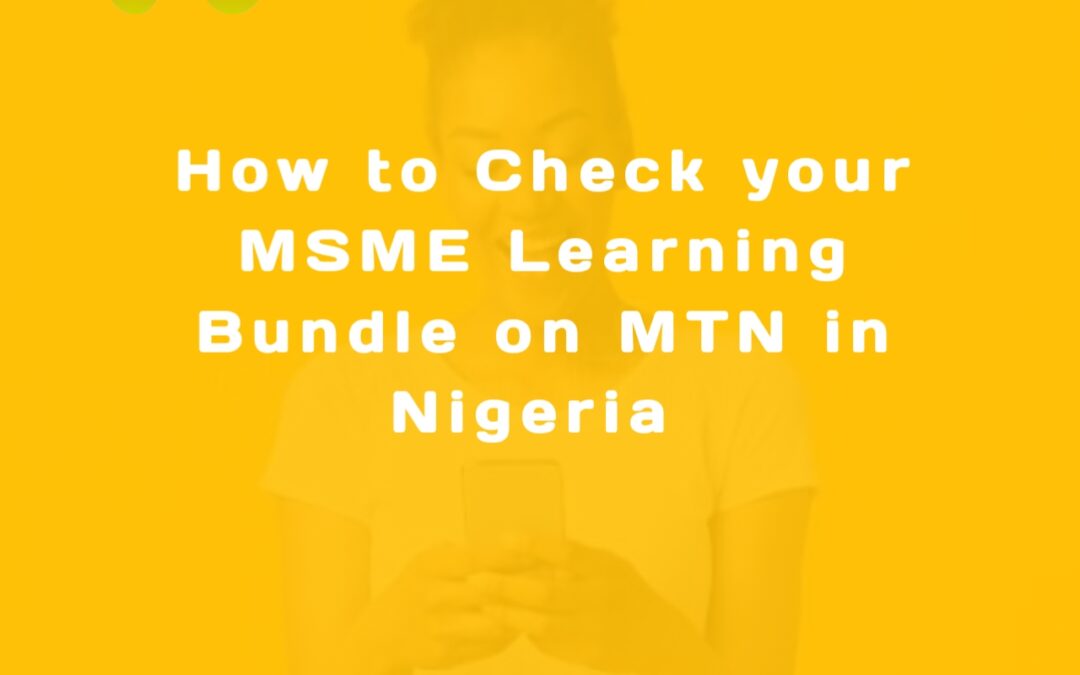 How to Check your MSME Learning Bundle on MTN in Nigeria img